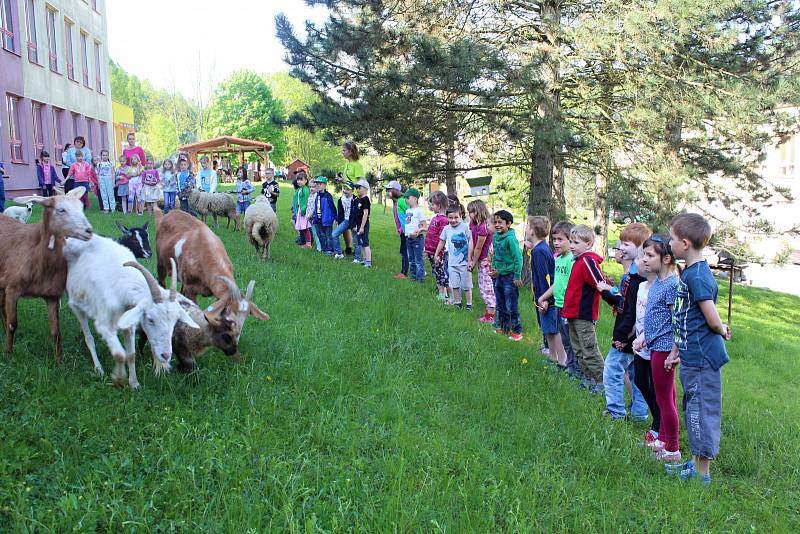 Děti ze Základní školy Rokytnice a dalších škol ve Vsetíně si ve čtvrtek 18. května užívaly na zahradě rokytnické školy Farmářského dne.