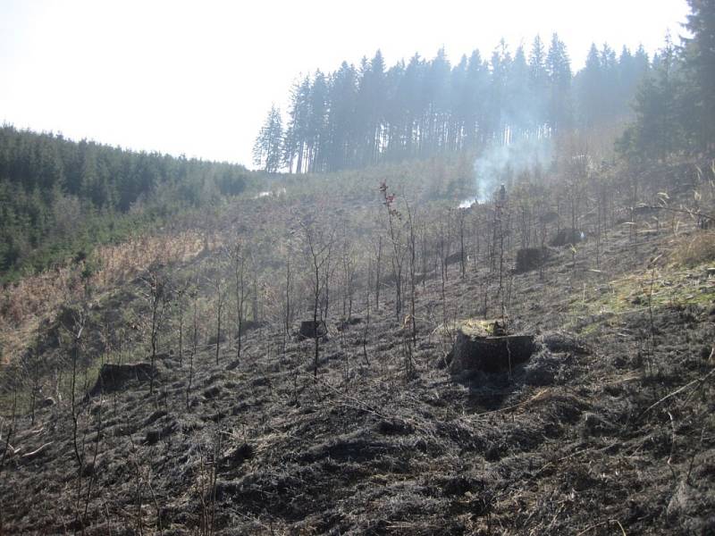 Požár lesa u Hovězí.