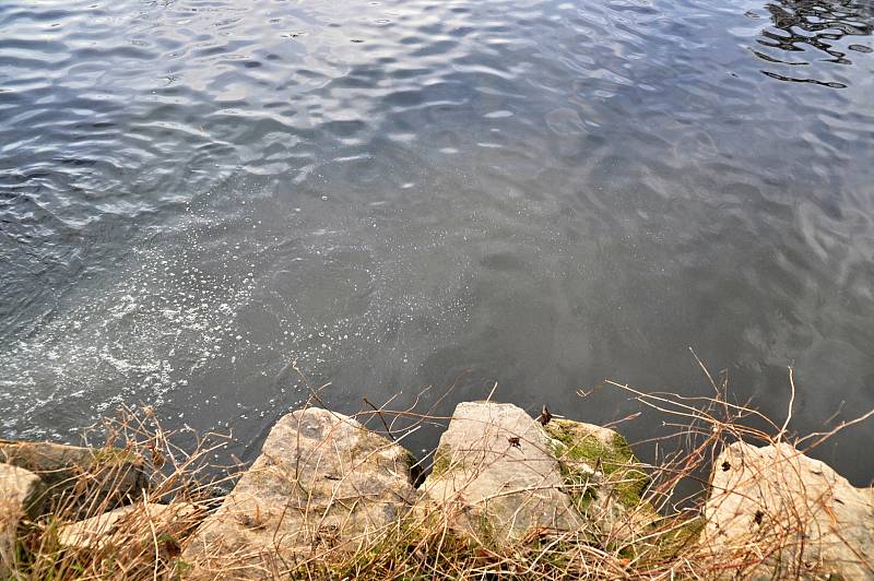 Řeka Bečva ve valašskomeziříčské městské části Juřinka znečištěná neznámou látkou; středa 2. prosince 2020