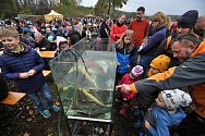 Výlov rybníka Choryně velká na pomezí Zlínského a Olomouckého kraje; sobota 29. října 2022