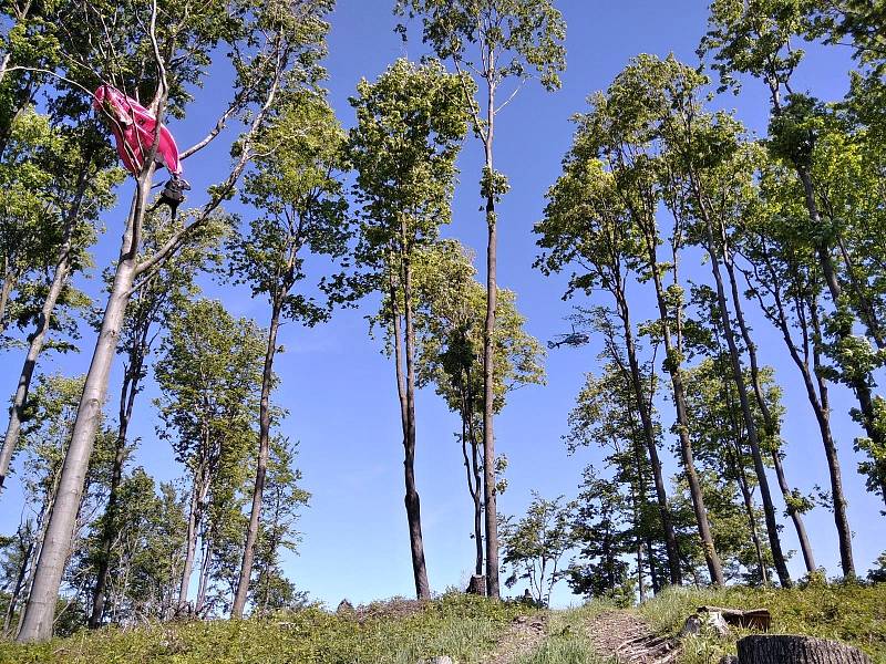Bezmála sedmdesát hasičů, policistů a zdravotníků se ve čtvrtek 19. května 2022 zapojilo do cvičení zaměřeného na pátrání po pohřešovaných. V lesích u Zašové a Krhové na Valašsku hledali dva zraněné paraglidisty.