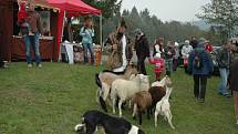 Podzimní ovčácké slavnosti v Malé Bystřici