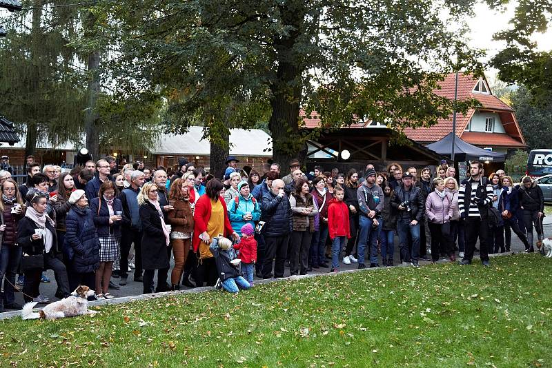 Diváci sledují umělecký happening v ulici mezi Brillovkou a restaurací Brasserie Avion v Rožnově pod Radhoštěm, která nově nese jméno umělce Maria Kotrby; 4. října 2019