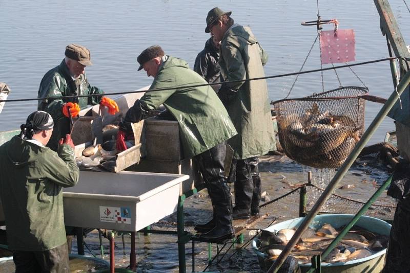 Tradiční výlov přilákal o víkendu k břehu rybníka Choryně Velká zástupy lidí.