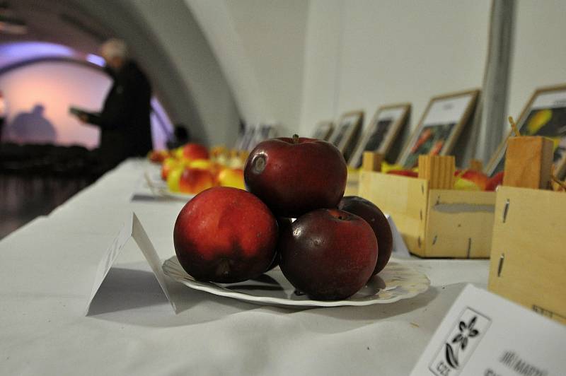 Součástí křtu nové knihy Sušárny ovoce: Živé dědictví (nejen) Horního Vsacka na zámku ve Vsetíně byla také výstava plodů krajových odrůd ovoce; listopad 2021
