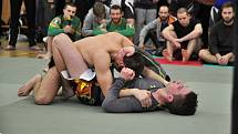 II. ročník ADCC Valachien Cupu v zápase označovaném jako grappling, submission wrestling či brazilské jiu jitsu; Sportovní hala v Janové, sobota 12. března 2016