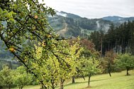 Typické panorama valašských kotárů – louky, pastviny a věkovité ovocné stromy.