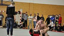 II. ročník ADCC Valachien Cupu v zápase označovaném jako grappling, submission wrestling či brazilské jiu jitsu; Sportovní hala v Janové, sobota 12. března 2016