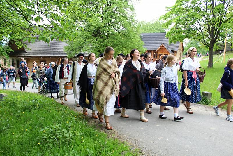 Slavnostní výhon ovcí na salaš s ukázkami tradičního života na dědině byl k vidění v sobotu 20. května ve Valašské dědině Valašského muzea v přírodě v Rožnově pod Radhoštěm. Stovky návštěvníků zaujaly činnosti spjaté s chovem ovcí a další bohatý program.