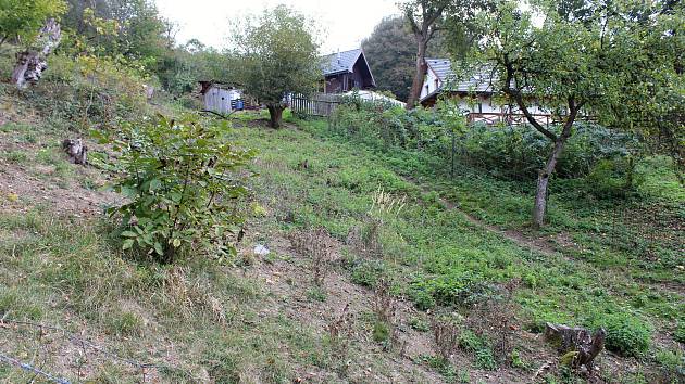 Ohrada, kde se ještě v sobotu páslo pět ovcí. Přes noc je všechny roztrhal medvěd.