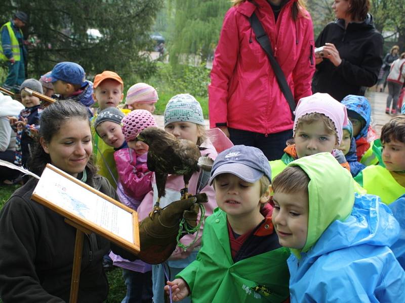 Dni Země patřil pátek 25. dubna ve Vsetíně. Zejména malé děti se mohly těšit na zvířátka, projížďku v člunu, na soutěže a řadu dalších aktivit.