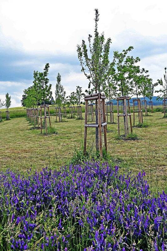 Pod vrchem Helštýn ve Valašském Meziříčí pozvolna roste unikátní Florální kostel. Ojedinělý projekt umělců Michaely a Jiřího Černických bude představen veřejnosti ve středu 22. června 2022 v 11 hodin.