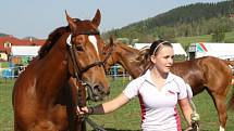 V areálu Jezdeckého klubu Valašsko na Prostřední Bečvě se prvního května konal sedmnáctý ročník výstavy koní na Valašsku.