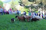 Děti ze Základní školy Rokytnice a dalších škol ve Vsetíně si ve čtvrtek 18. května užívaly na zahradě rokytnické školy Farmářského dne.