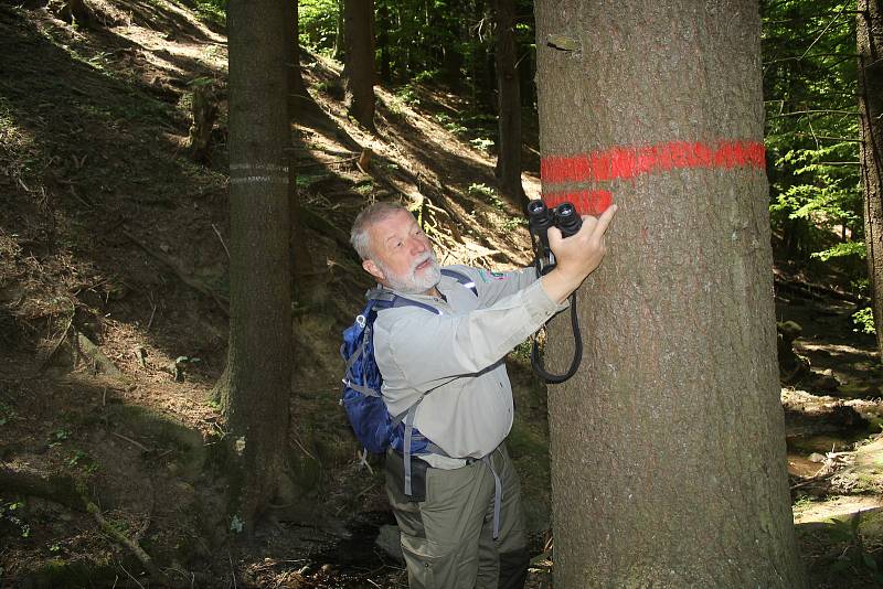 Jaromír Navrátil je dobrovolným strážcem CHKO Beskydy. Pulčínské skály mu učarovaly už v dětství. Je i okolí chrání už přes čtyřicet let. Hranice Národní přírodní rezervace vytyčují dva pruhy na stromu.