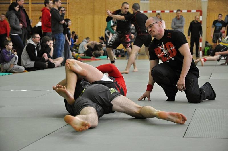 II. ročník ADCC Valachien Cupu v zápase označovaném jako grappling, submission wrestling či brazilské jiu jitsu; Sportovní hala v Janové, sobota 12. března 2016