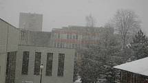 Ve středu 10. 2. začalo ve Vsetíně hustě sněžit.