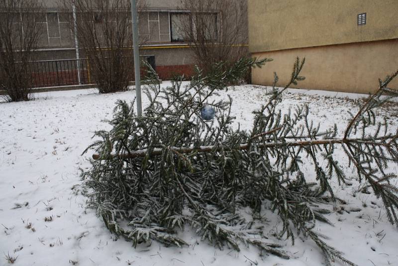 Lidé na Valašsku začínají po Vánocích vyhazovat stromečky.