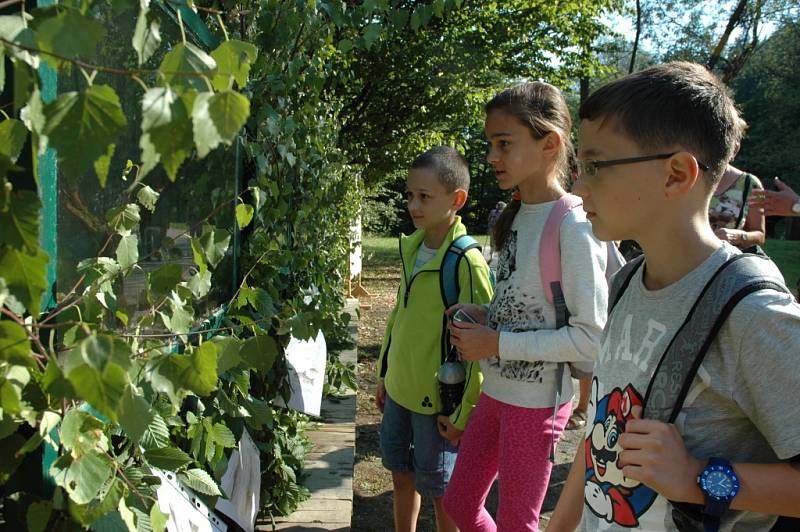 Ve znamení ryb. Program, který se po letech vrátil do areálu Mlýnské doliny Valašského muzea v přírodě v Rožnově pod Radhoštěm.