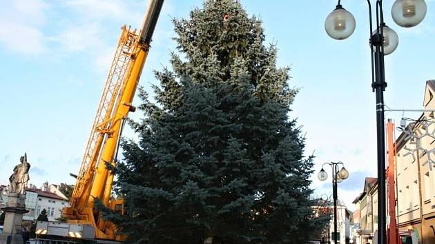 Převoz vánočního stromu z rožnovské místní části Hážovice na Masarykovo náměstí v Rožnově pod Radhoštěm, pondělí 23. listopadu 2015