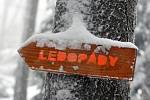 Pulčínské ledopády. Unikátní barevné ledopády v Národní přírodní rezervaci Pulčín- Hradisko.