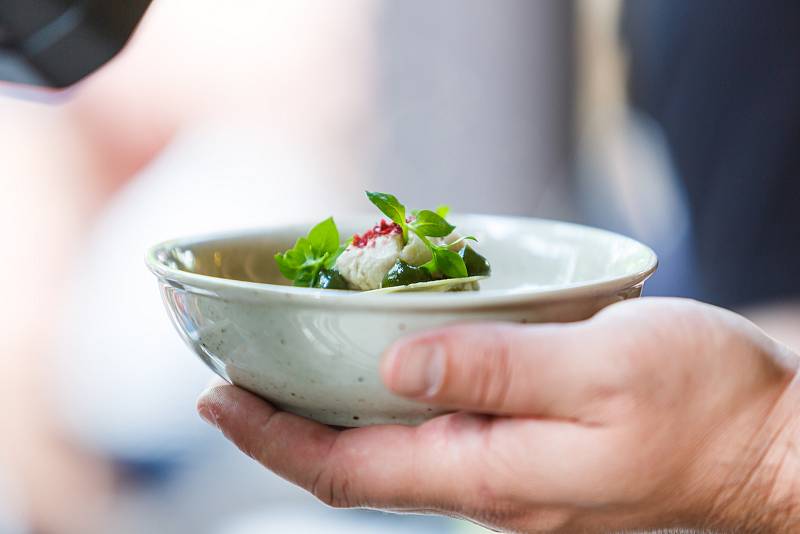 Garden Food Festival 2019 v rožnovském parku.