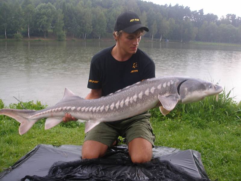 Tomáš Žabčík, Ratiboř, jeseter 152 cm, 19,6 kg, Skalička