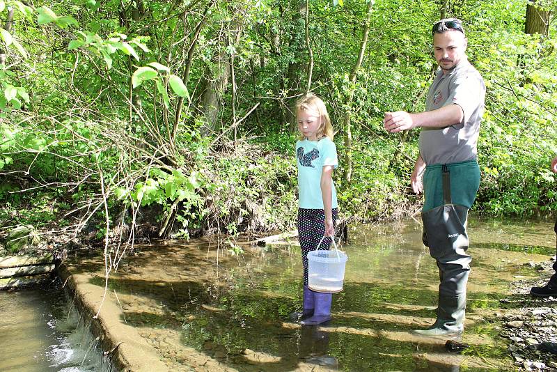 Rybáři z Místní organizace Českého rybářského svazu ve Vsetíně vysadili 25. dubna 2018 do Semetínského potoka 15 000 plůdků pstruha obecného. Rybáři Davidu Molkovi pomáhala dcera Dorotka.