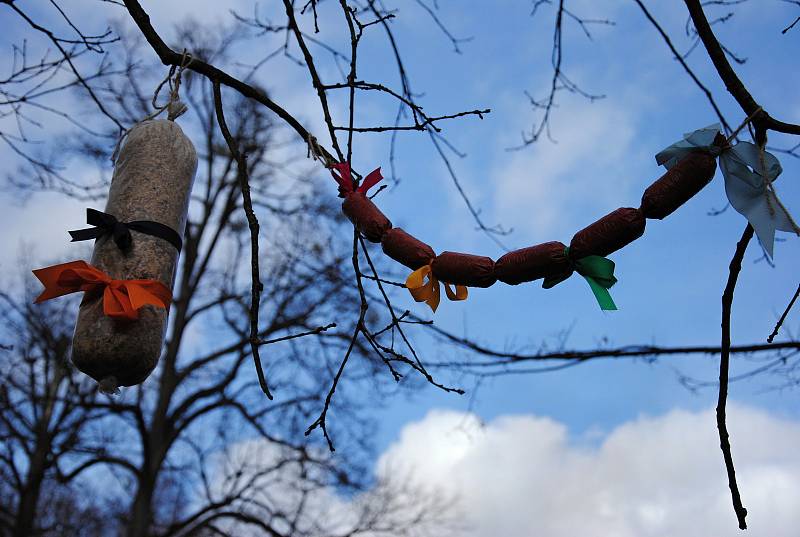 Masopustní veselí ve Valašském muzeu v přírodě v Rožnově pod Radhoštěm s tradičními obchůzkami masopustních masek zpestřené už tradičně soutěžemi o nejlepší valašskou tlačenku a klobásu.