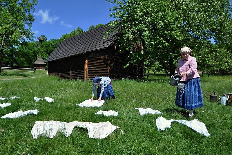 Tradičními jarními pracemi ožila v sobotu 21. května Valašská dědina ve Valašském muzeu v přírodě v Rožnově pod Radhoštěm. Návštěvníci areálu mohli vidět činnosti spojené především s domácími pracemi kolem chalupy a v zemědělství na Valašsku