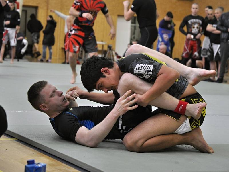 II. ročník ADCC Valachien Cupu v zápase označovaném jako grappling, submission wrestling či brazilské jiu jitsu; Sportovní hala v Janové, sobota 12. března 2016