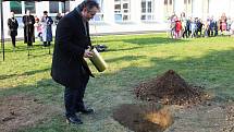 Lidickou hrušeň vysadili ve středu 28.11.2018 na zahradě ZŠ Žerotínova ve Valašském Meziříčí. Starosta města vkládá tubus pro budoucí generace ke kořenům stromu.
