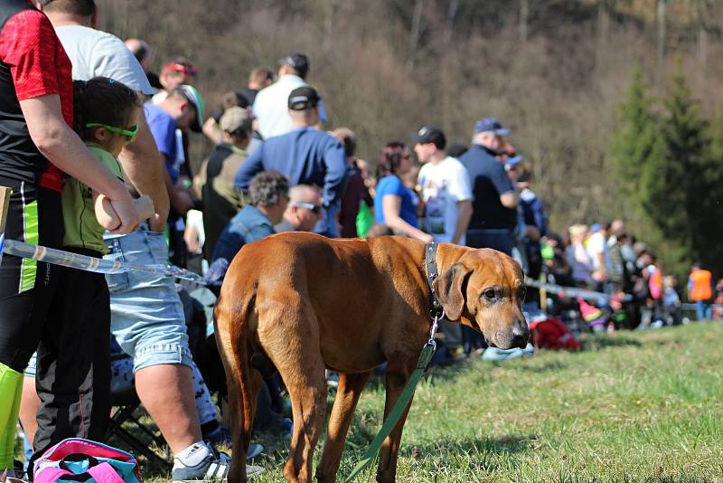 38. ročník Kowax Valašské rally ValMez 2019 se jel na o víkendu 29. - 31. března 2019. Jednou s RZ byla také vložka na Bystřičce.