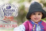 MFF Vsetínský krpec 2018