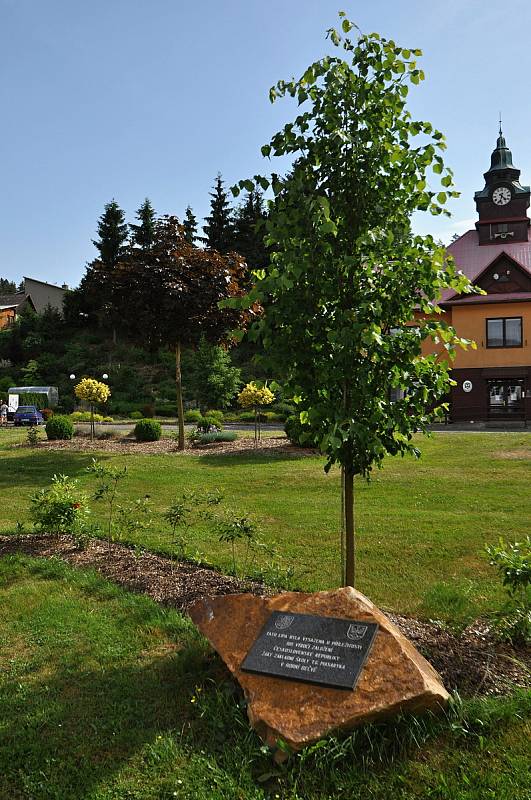 Horní Bečva - lípa zasazená před budovou základní školy u příležitosti 100. výročí založení Československé republiky