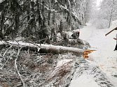 Padající strom zasáhl v neděli 13. ledna 2019 na hřebeni Javorníků běžkařku. K vážně zraněné ženě museli horští záchranáři.
