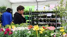 V pátek 5. května 2017 začal v Rožnově pod Radhoštěm osmý ročník prodejně-výstavních zahradnických trhů s názvem Valašská zahrada.