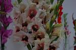 Na krásu květin lákají o víkendu zahrádkáři z Ratiboře na Vsetínsku. Místní základní organizace Českého zahrádkářského svazu tady pořádá Květinové dny.
