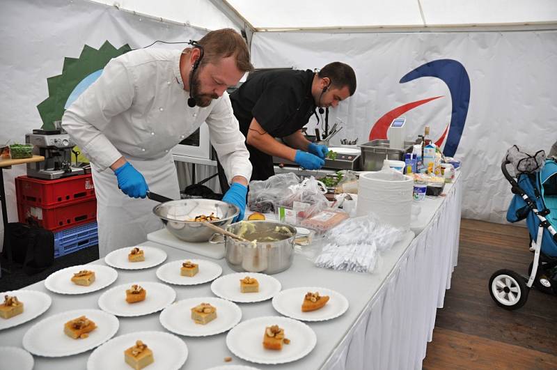 Farmářské slavnosti na ekofarmě Agrofyto v Lidečku; sobota 16. července 2016.