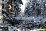 Polomy na hřebenech Vsetínských Beskyd trápí horskou službu i běžkaře. Situace ze 4. týdne ledna 2019.