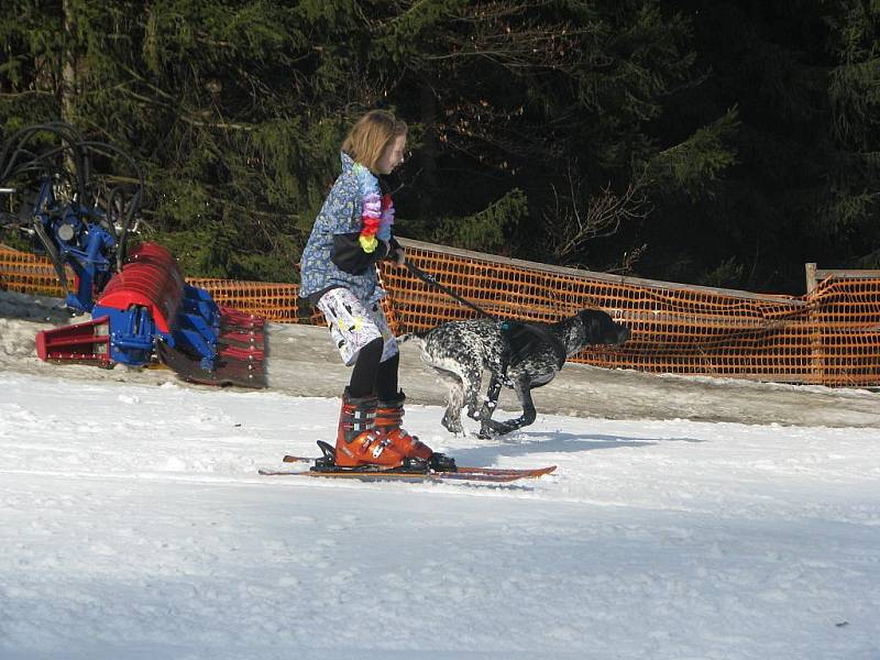 Kostýmovaní lyžaři se v sobotu proháněli po sjezdovce ve Ski areálu Búřov ve Valašské Bystřici.