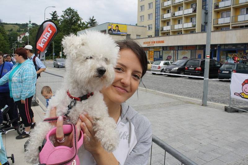 Deset nových vítězů a držitelů žlutého trikotu Tour de Kids bylo dekorováno v neděli ve Vsetíně. 