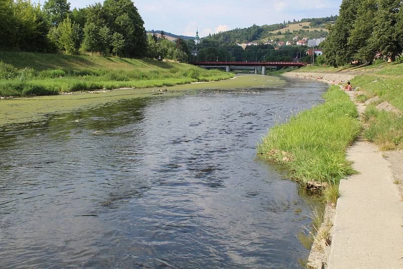 Namísto vody se v korytě Bečvy zelená rozlehlý ostrov.