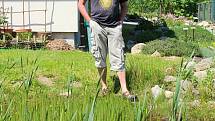 Dvaašedesátiletý Mirek Dvorský zasvětil přírodě celý život. Ve Valašském ekocentru v (Šafaříkova ul., Valašské Meziříčí) ukazuje jak pomoci přírodě v boji proti suchu - 19. května 2020.