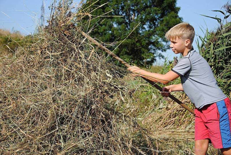 Mladí ochránci přírody z oddílu Falco pečují o unikátní mokřad ve valašskomeziříčské části Hrachovec.