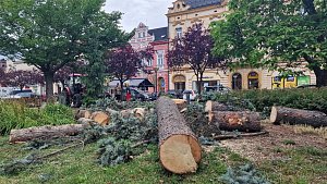 Dolní náměstí ve Vsetíně přišlo o vánoční strom. Radnice vysadí nový