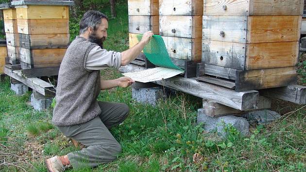 Včelař Miroslav Urban zpopularizoval včelařství pomocí naučné stezky. Na trase mohou návštěvníci vidět i včelí úly. 