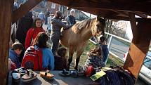 V Hucul clubu ve Francově Lhotě připravili den otevřených dveří.