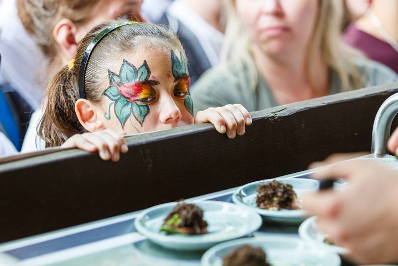 Garden Food Festival 2019 v rožnovském parku.