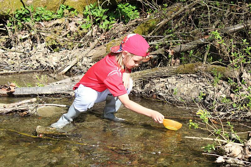 Rybáři z Místní organizace Českého rybářského svazu ve Vsetíně vysadili 25. dubna 2018 do Semetínského potoka 15 000 plůdků pstruha obecného. Rybáři Davidu Molkovi pomáhala dcera Ema.